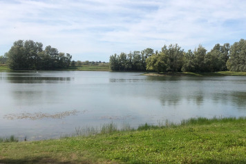 Water Level Update - 4