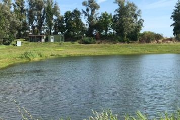 Water Level Update - 12