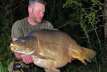 50's across the board - 4