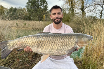 New Arrivals at Golden Carp Lake - 8