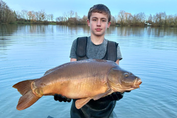 New Additional Stock - 3