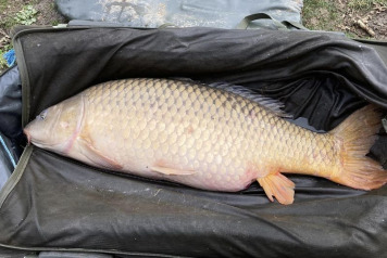 A gorgeous February afternoon - 4