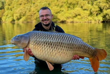 Beautiful Common - 1