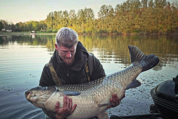 Another 70lber on the bank - 2