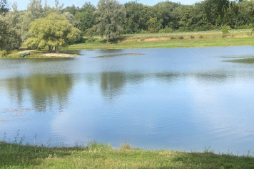 Water Level Update - 3