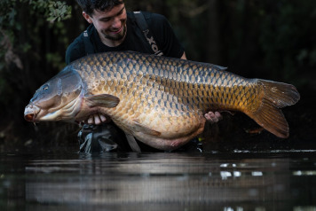 The common of a lifetime - 1