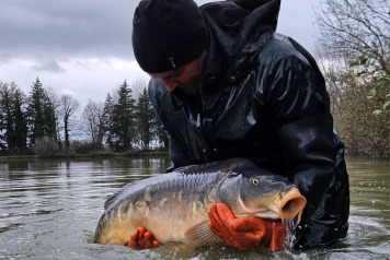 New Carp Alert - 2
