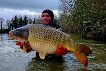 New Carp Alert - 4
