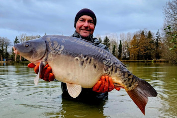 New Carp Alert - 1