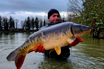 New Carp Alert - 3