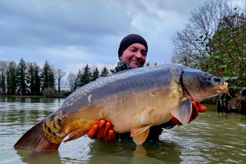 New Carp Alert - 7