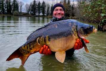 New Carp Alert - 8