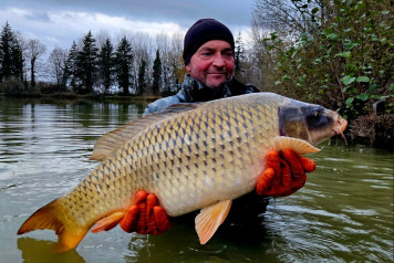 New Carp Alert - 1