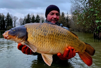 New Carp Alert - 6