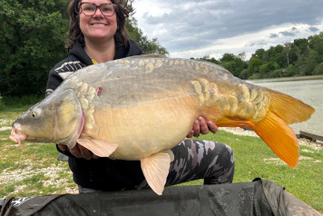 Nice pictures from Peg 5 taken just two weeks ago - 2