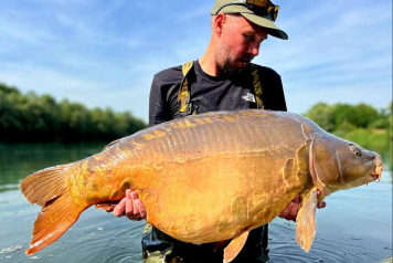 71 carp, 3 anglers - 1