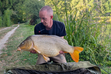 71 carp, 3 anglers - 2