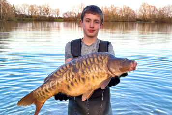 New Additional Stock - 4