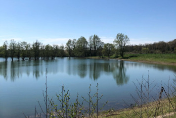 Water Level Update - 7