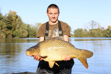 New Additional Stocking of 200 Carp - 13