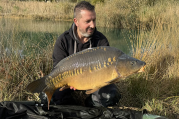 New Arrivals at Golden Carp Lake - 11