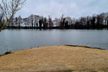 Swims Resurfaced - 2