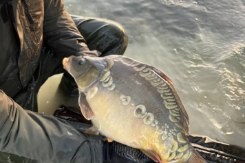 Final stocking For This Winter - 7