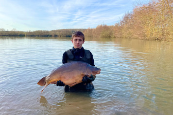 New Additional Stock - 3