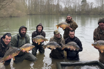 Additional Stock - 15