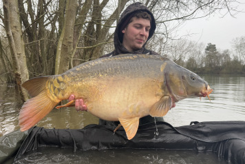 Additional Stock - 8