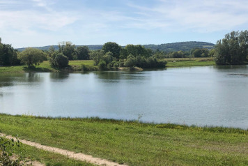 Water Level Update - 8