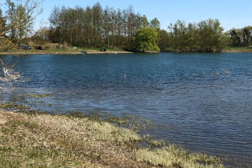 Water Level Update - 4