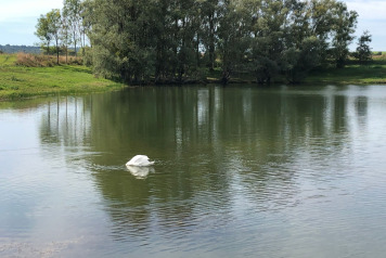 Water Level Update - 10