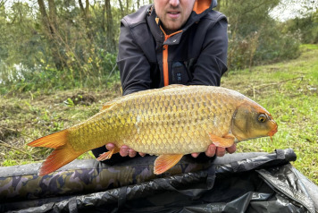 Magnificent Fish - 1