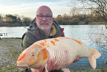 Rain, lumps & koi - 3