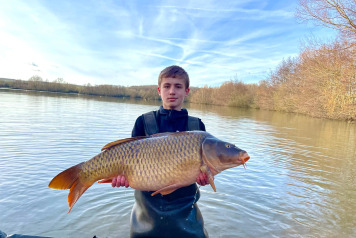 New Additional Stock - 7