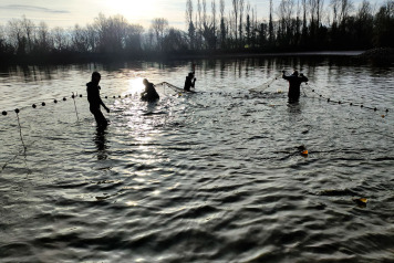 Netting & stock check - 2