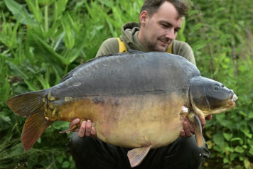 Beauties on the bank - 1