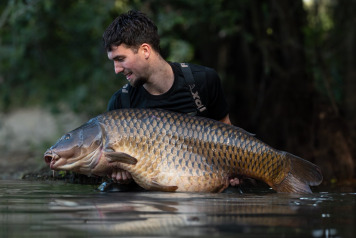 The common of a lifetime - 2