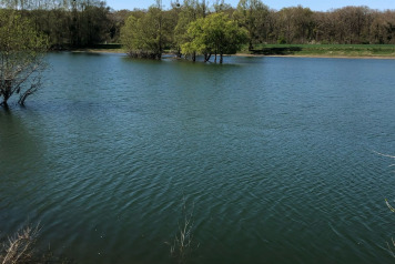 Water Level Update - 2