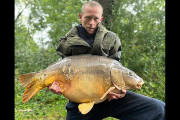 Last week for 2024 - 1