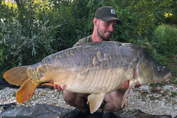 Round up - w/c 5th July - 6