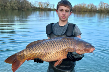 New Additional Stock - 1