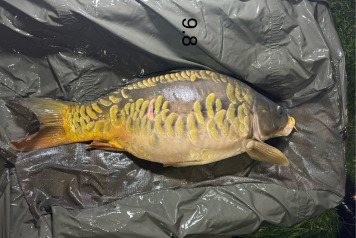 New Arrivals at Deux Iles - 15