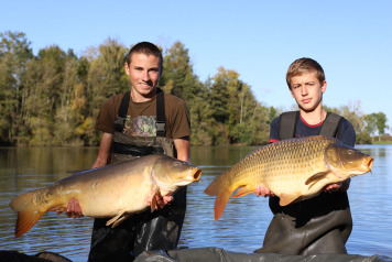 New Additional Stocking of 200 Carp - 4