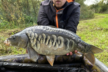 Magnificent Fish - 5