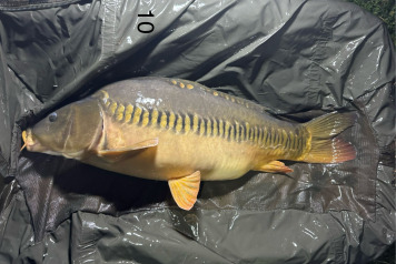 New Arrivals at Deux Iles - 7