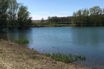 Water Level Update - 6