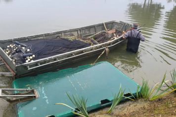 Netting & stock check - 5