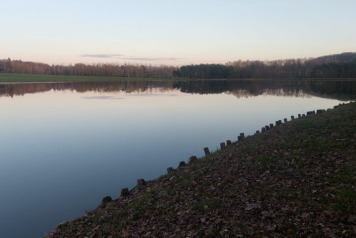 Good Water Levels - 1